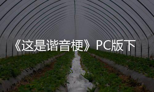 C版下载下载是谐音梗这正版分流