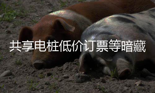 险 陷阱藏风电桩低价订票等暗也要诈骗共享过节快乐谨防
