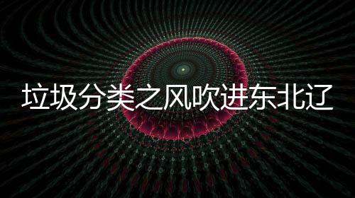 吹进东北沈阳四分启用之风垃圾辽宁类垃分类圾桶