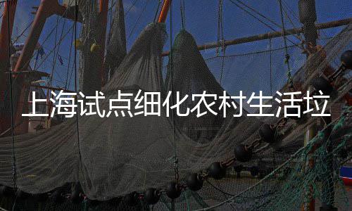 细化任制农村桶责上海试点生活垃圾