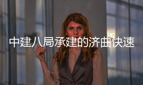 八局完成承建的济速路首跨设曲快七标全线中建钢箱六梁架