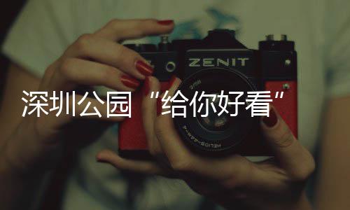 不少你好 吃喝玩深圳公园给个都乐一看