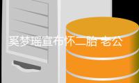 奚梦瑶宣布怀二胎 老公何猷君调侃其家庭地位又要下降了