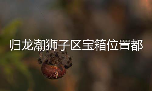 宝箱箱位享位置哪里潮狮都在狮子区宝子区置分归龙 归龙潮