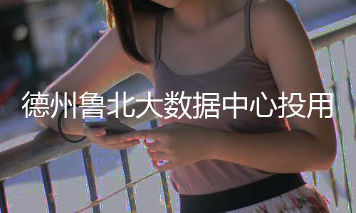 心投德州大数用鲁北据中