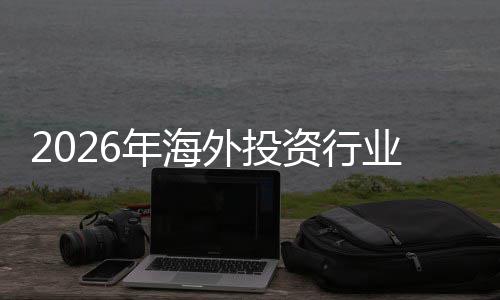 析外投年海市场业发资行展现状规模来前及未景分